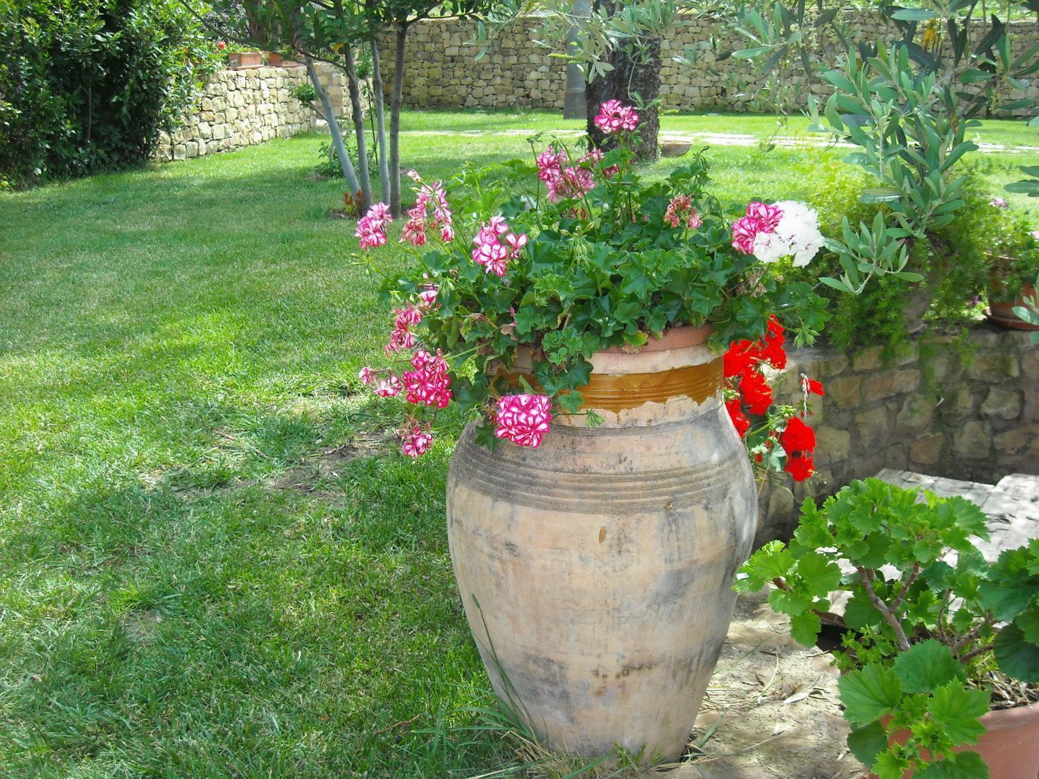 Agriturismo Villa Luca SantʼAgata di Militello Exterior foto