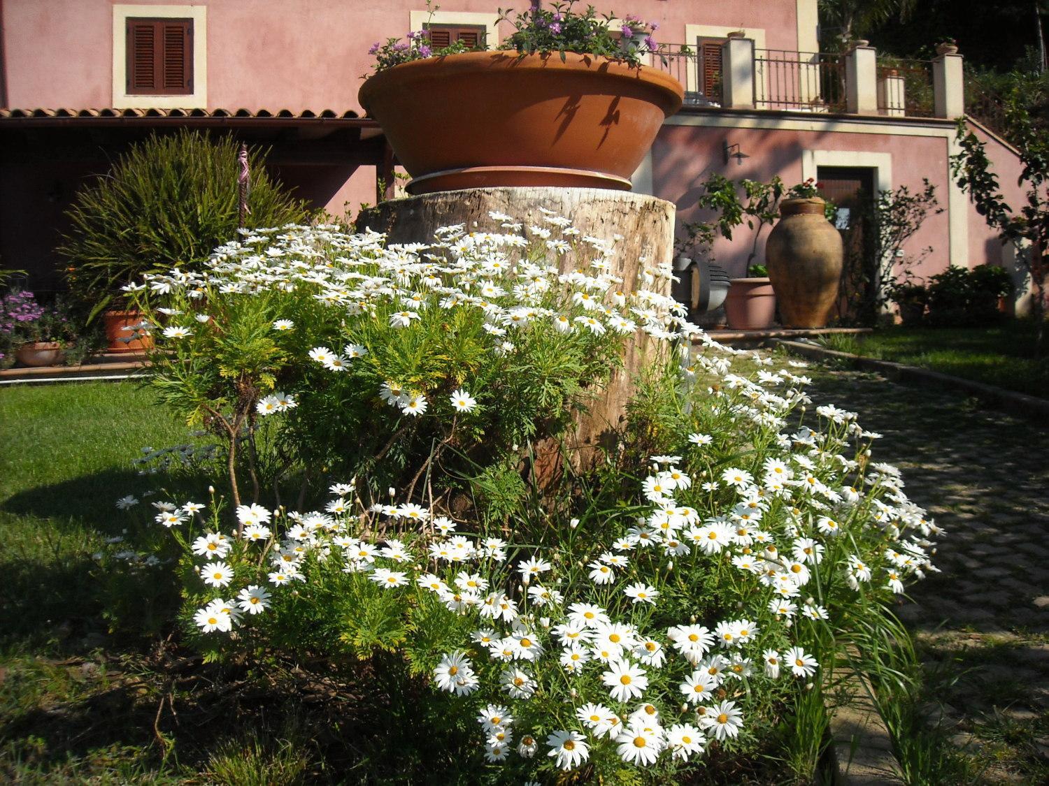 Agriturismo Villa Luca SantʼAgata di Militello Exterior foto